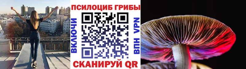 Псилоцибиновые грибы прущие грибы  Кораблино 
